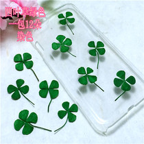 Clover clover field word grass drop glue dried flowers diy handmade flower material Flower material Plant teaching embossing