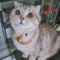 Japanese wind cat collar cat bell cat chain cat collar cat collar cat brand dog small dog cat jewelry