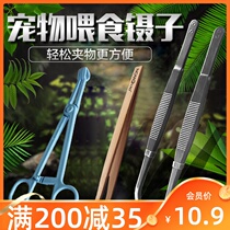 Reptile crawling box cleaning tweezers Feeding clip Feeding Bread worm Feeding Water turtle Tortoise Lizard Feeding medicine clip Trumpet