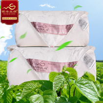  Silver Sea silk 100 mulberry silk quilt air conditioning quilt Winter quilt warm mother quilt spring and Autumn quilt core children