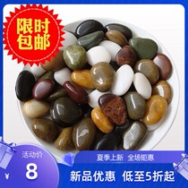 Hydroponic pebbles decorative flower pots large stone fish tank stone colored stone river sand stone decoration