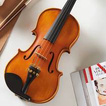 Beginner violin examination professional violin adult children