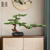 Zen new Chinese simulation welcome pine bonsai plants indoor living room porch decorations green plant desktop ornaments