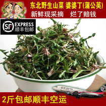 Northeast mountain fresh wild mountain wild vegetable mother - in - law Ding Dandu Bitter Cash 500 grams of Shunfeng