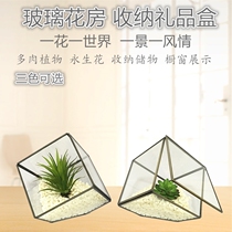  Pure copper transparent geometric glass greenhouse simulation fleshy micro-landscape flower pot Eternal flower cabinet decoration display box