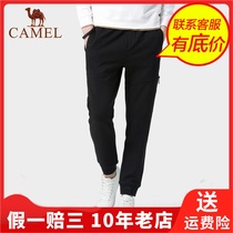 Camel Camel slim ankle-length pants mens pants small feet pants youth Korean version of conventional casual pants D9P260376