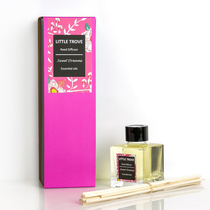 British Little Trove plant essential oil diffuser aromatherapy air purification sweet dream natural essential oil clear