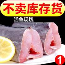 (domestic eel) eel midsection frozen marine fish fresh sea eel manfish section Deep sea fish seafood 5 kilos