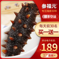 (Buy one gift one) Ginseng Fu Yuan Sea Cucumbers Ready-to-eat 500g Dalian Spurs to participate in fresh live single clothes