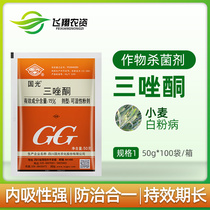 Triadimefon Guoguang Powdery Mildew Pesticide Fungicide Fleshy Flower Rose Rust Black Spot Anther