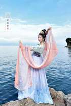 Chinese style Hanfu costume original embroidery female Bodhi snow Tan collar half arm one-piece waist skirt super fairy suit