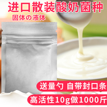 Bulk fresh milk bar yogurt strains solidified yogurt fermentation bacteria lactic acid bacteria direct commercial import powder 10g