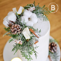 BITOlogy (Precious) C166 Creative Arts Design Birthday cake Beijing Shanghai Tongcheng Distribution