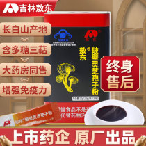 Jilin Odong Wall Breaking of Lucid Lucid Lingzhi Powder Official Flagship Store Changbai Mountain Original Factory Robe of Glossy Glossy Powder