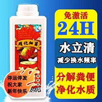 Water purifier for nitrifying bacteria fish tank active probiotics dechlorination water stabilizer digestive bacteria live bacteria for fish