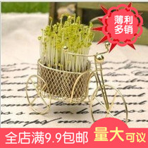 Qiao Ya gardening grass doll indoor planting DIY potted plant (love bike)Couple gift planting