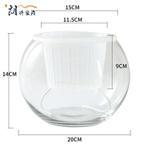 Vase for raising green fish and flowers co-raising water transparent glass large diameter 2021 new water cultivation bottle plant