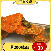 Turtle Sun Terrace Climbing NTU Water Turtle Turtle Tank Made of View floating island rocks Brazil Turtle Sun Back to Hide From Cave Sundae