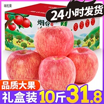 Apple Fresh Apple Fruit Zhengzong Shandong Yantai Apple Qixia Red Fuji When Its Season Full Box Ice Candy