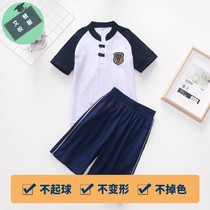 Hebei Tangshan Tangcheng 101 Experimental Primary School Summer Uniform Sapphire Suit