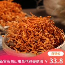 Cordyceps flower dry 250g non-500g super wild fresh non-sulfur-free Cordyceps militaris spore head soup material