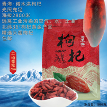 Qinghai Nuo Muhong disposable super large wolfberry dry Gou 500g Dipper tea bulk wolfberry non Ningxia