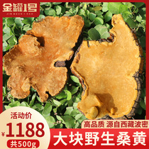 (20 years of wild) Phellinus orchid authentic Tibet Linzhi specialty wild Bomi Mulberry Mulberry Mulberry can be sliced