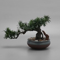 New Chinese Greeting Guest Pine Bonsai Pendulum-like Sample Board Room Micro-Landscape Living-room Genguan Green Planting Potted Creativity Soft Adornment
