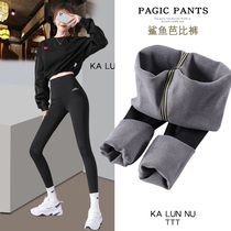 High-waisted shark pants womens pants Spring autumn and winter New plus velvet thickened slim tights stretch casual sports yoga pants