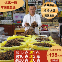 Tibet Naqu Cordyceps sinensis 1 gram 2 Special fresh Cordyceps dry goods without broken grass Yushu gift box Shunfeng