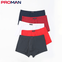 Rich mens modal boxer underwear youth sexy comfortable flat underwear mens loose four corner sports underwear