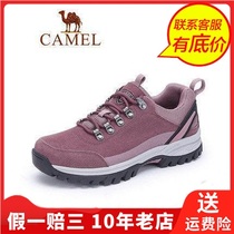 Camel Camel autumn thick soled shoes sports lace round head breathable work female low shoe A933036215