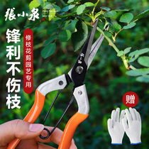 Zhang Xiaoquan branch cut fruit tree pruning scissors Flower cut flower arrangement gardening scissors Grape cut branch special scissors