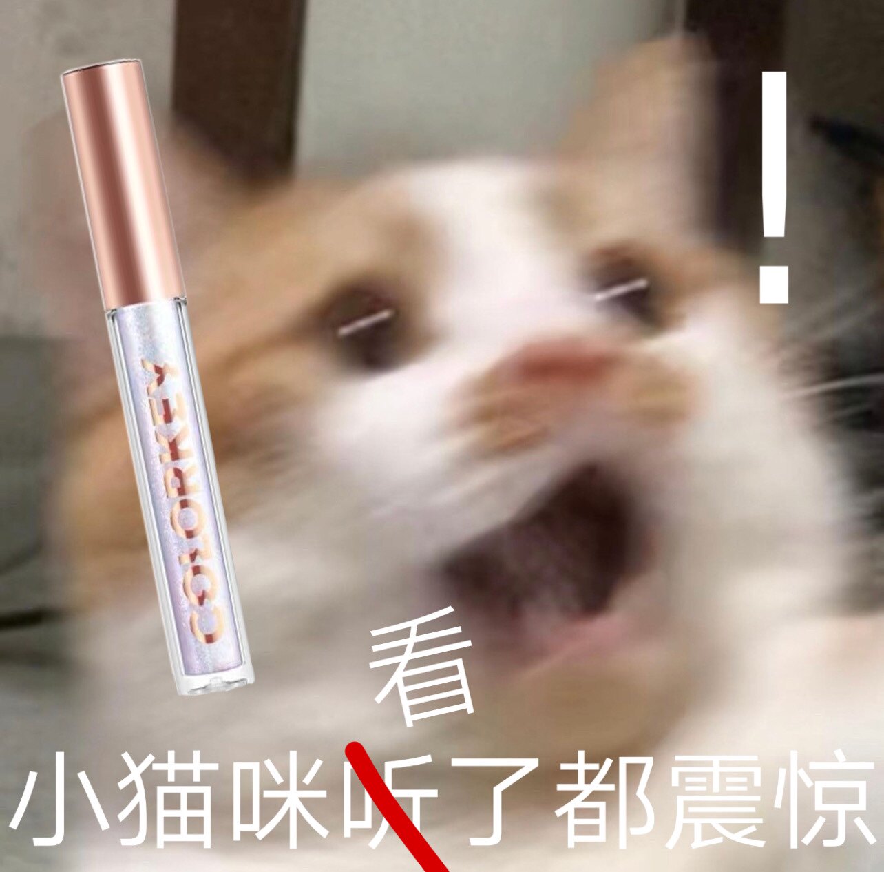 Colorkey liquid Eyeshadow Galaxy Super Flash Silkworm brighten a tear Shiny waterproof