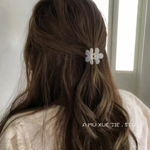 Method of French Acetate Small Flower Grip Clip Woman South Korea Cute Half Horsetail Hair Grab Small Number Brief Brief Liu Haiclip Retro Hair Clip