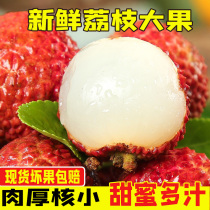 Lychee fresh Maoming Gaozhou concubine smile sugar poppy cinnamon flavor Lychee is now picked and sent 5 pounds of seasonal fruit