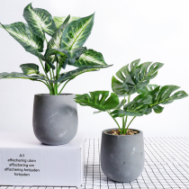 Nordic Style Creativity Simulation Green Planting Turtle Back Leaves Fake Potted Plant Decorations Tabletop Small Pendulum for Furnishing Bonsai