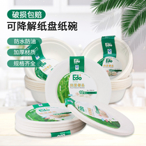 Edo disposable paper tray paper bowl household tableware outdoor picnic barbecue set cake hand drawing paper saucer