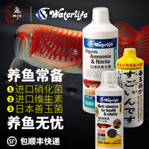 British imported Waterlife nitrifying bacteria fish tank water purification agent air tank aquarium Jade bacteria vitamin