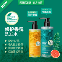 (Full reduction) fragrance Shampoo Shampoo Shampoo Dew Fragrance white tea Pomelo fragrance maintenance Jasmine Orange fragrance 400ml