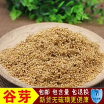 Chinese herbal medicine millet buds grow grain buds free ground powder fried grain buds 500g to stir-fry Grain Buds please note