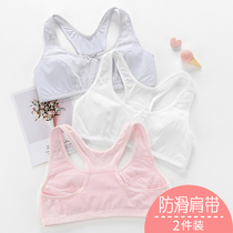 Teen bra developmental junior high school student high school student girl big boy underwear adolescent student sports vest thin