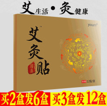 Ai leaf paste Warm moxibustion paste moxibustion moxibustion warm body stick sore cervical stick