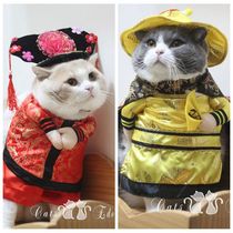 Pet cat New year Emperor Gege upright transformation