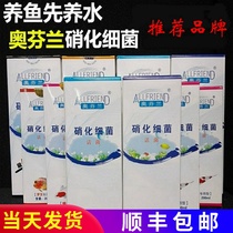 Austrian Finland active liquid nitrifying bacteria freshwater seawater Arhan koi longfish fish seawater nitrifying bacteria