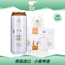 Haoplatinum bear German imported beer 500ml * 24 cans full box of wheat White Beer Bear beer