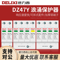 Delixi DZ47Y-20 40 2P 3P N 4P 40kVA 385V Lightning Surge Protection Lightning Protector