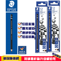 Import German Sched Building Pencil Professional Fine Art Sketching Drawing Drawing Students Beginners Black Pole Charcoal Pencil