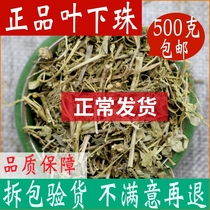 Leaf Lower Pearl Pearl Grass Chinese Herbal Medicine Big All 500g Leaves Lower Pearl Tea Pearl Chinese Herbal Medicine Shop