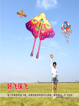 Eagle pig cartoon flying man High-grade adult princess Easy fly beginner matching wind fight kite new childrens line wheel